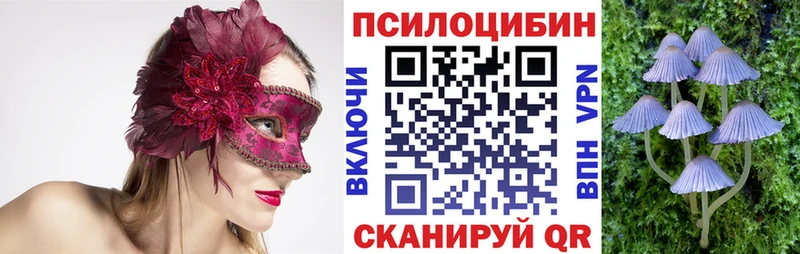 Псилоцибиновые грибы Psilocybine cubensis KRAKEN ONION Вытегра